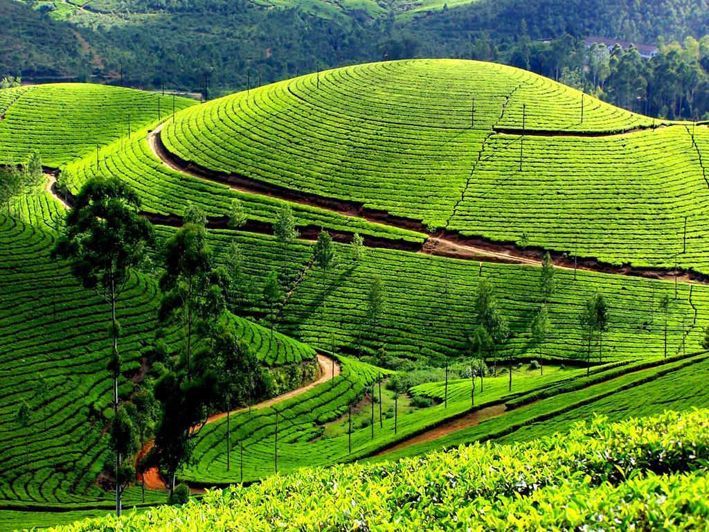 Mangalappillil Homestay Munnar Exterior foto